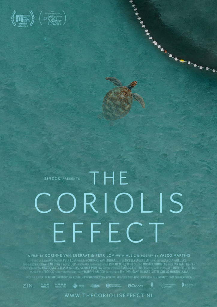 !! 35. FM EFEKT CORIOLISA